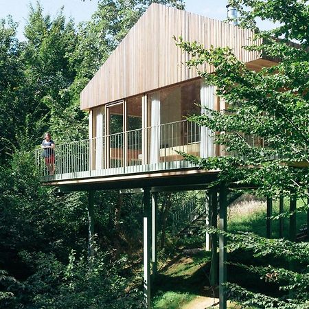 Апартаменты Baumhaus Buchengruen Dobl-Zwaring Экстерьер фото